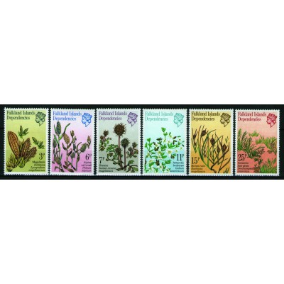 Plantas Antárticas